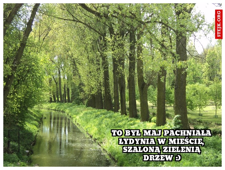 To był maj pachniała Łydynia w mieście, szaloną zielenią drzew :)