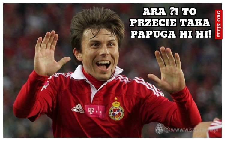 ARA ?! To przecie taka papuga hi hi!