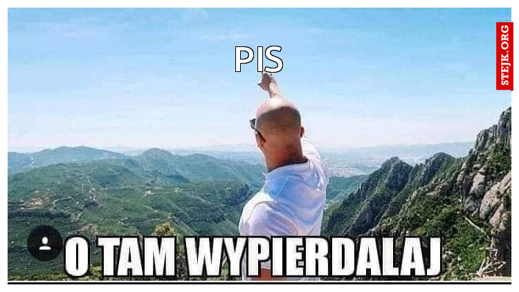 Pis