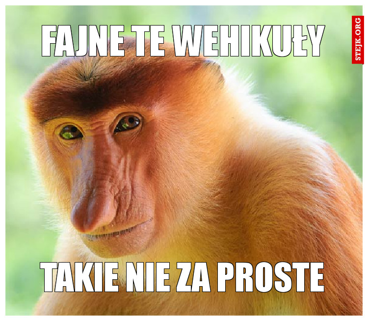 FAJNE TE WEHIKUŁY