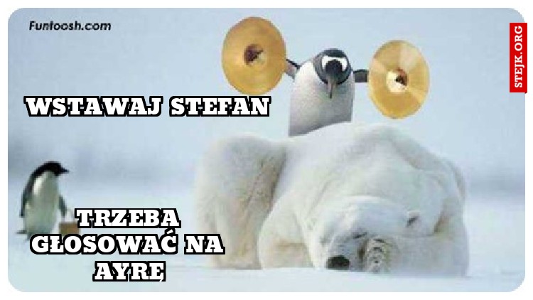 WSTAWAJ STEFAN