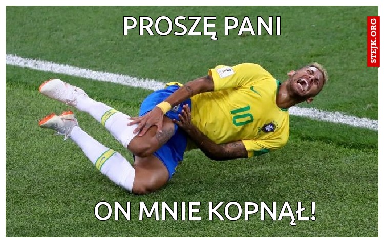 proszę pani