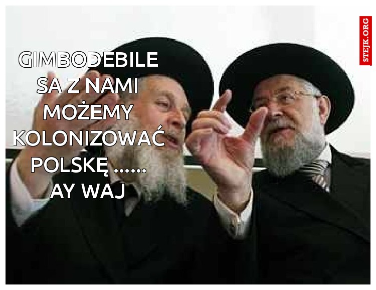 gimbodebile sa z nami możemy kolonizować Polskę ...... ay waj