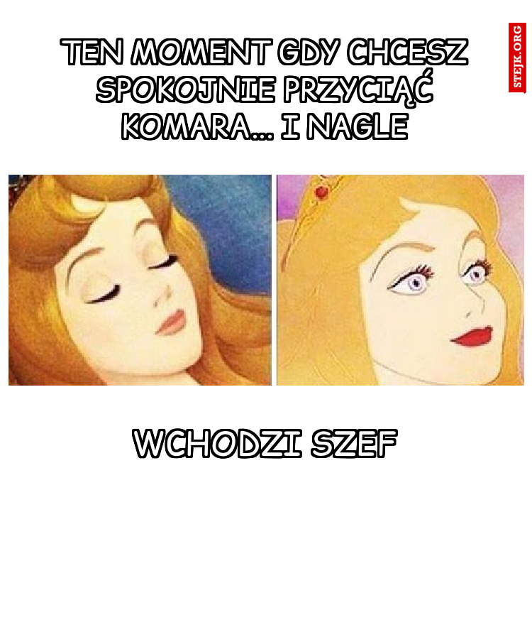 Ten moment gdy chcesz spokojnie przyciąć komara... i nagle