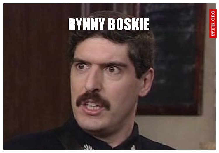 Rynny Boskie
