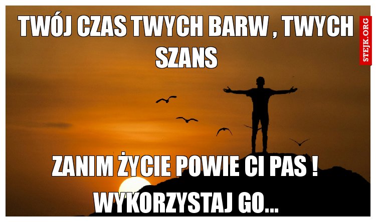 Twój czas twych barw , twych szans