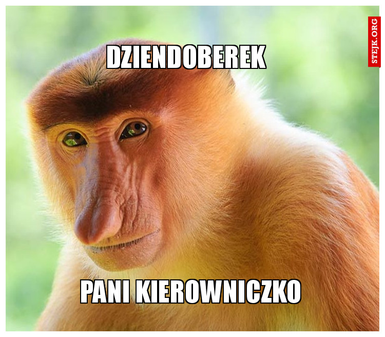DZIENDOBEREK