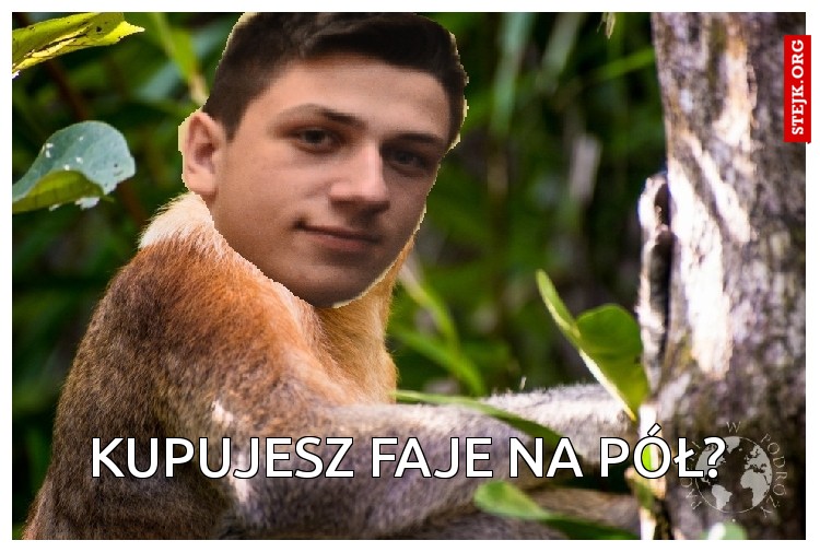 Kupujesz faje na pół?