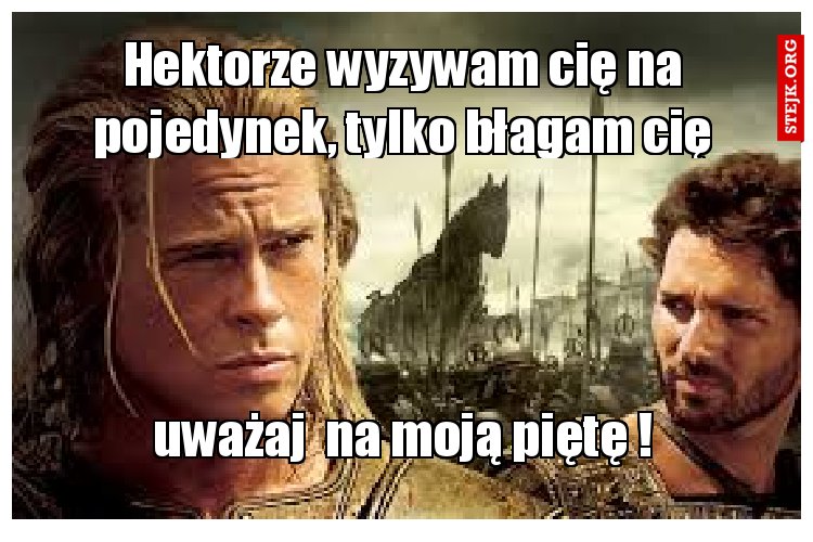 Hektorze wyzywam cię na pojedynek, tylko błagam cię