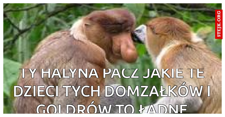 TY HALYNA PACZ JAKIE TE DZIECI TYCH DOMZAŁKÓW I GOLDRÓW TO ŁADNE