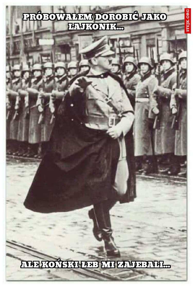 próbowałem dorobić jako lajkonik...