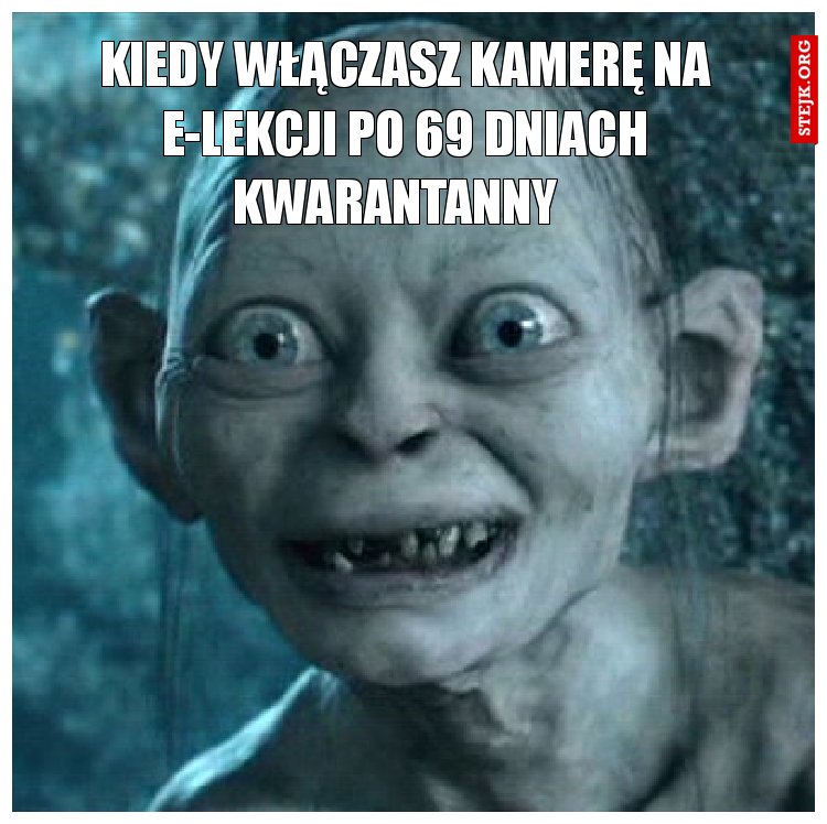 Kiedy włączasz kamerę na e-lekcji po 69 dniach kwarantanny  
