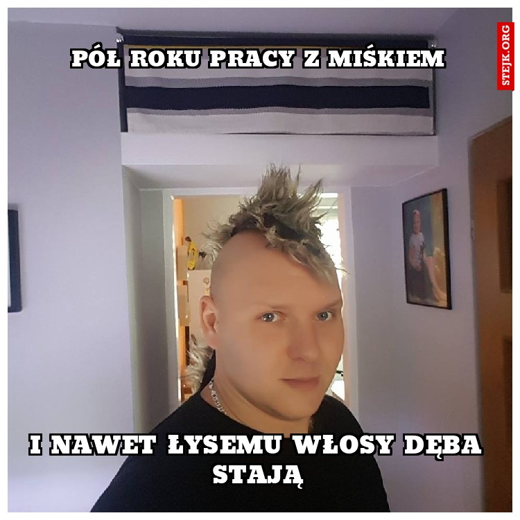 pół roku pracy z miśkiem