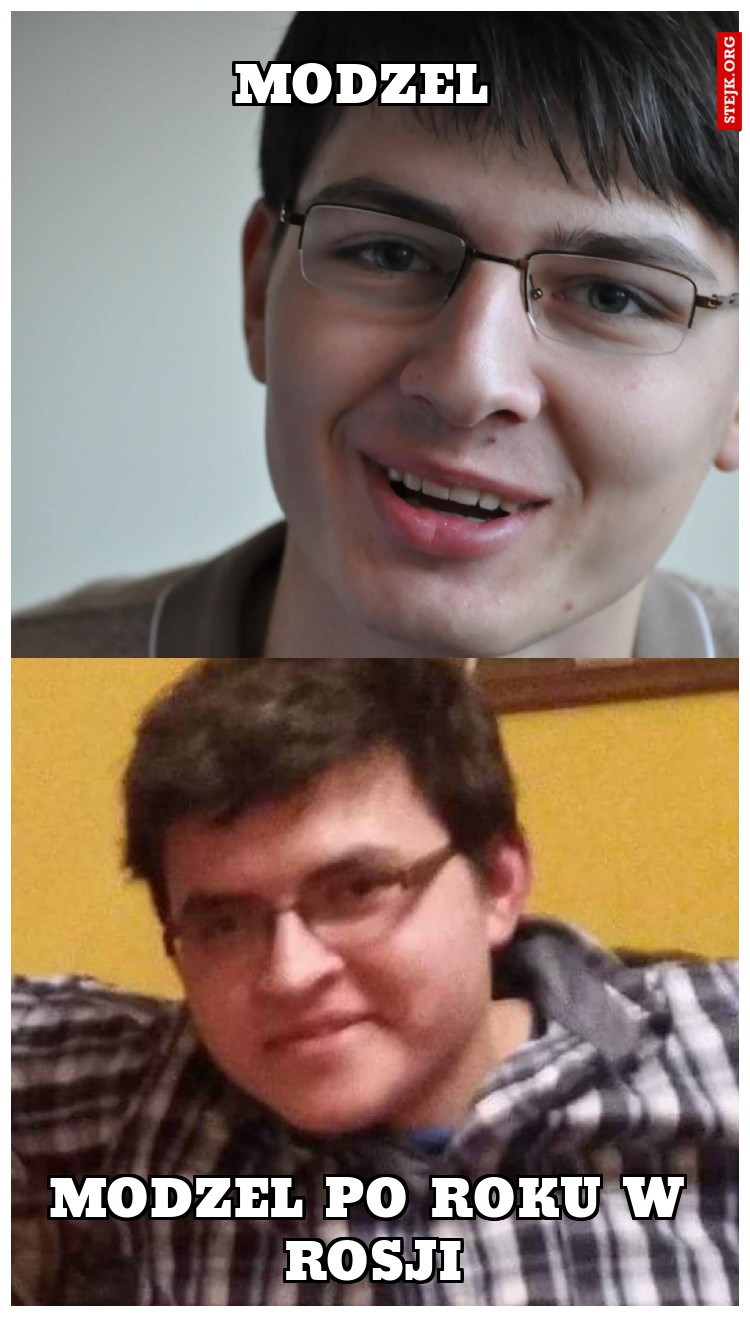 Modzel 