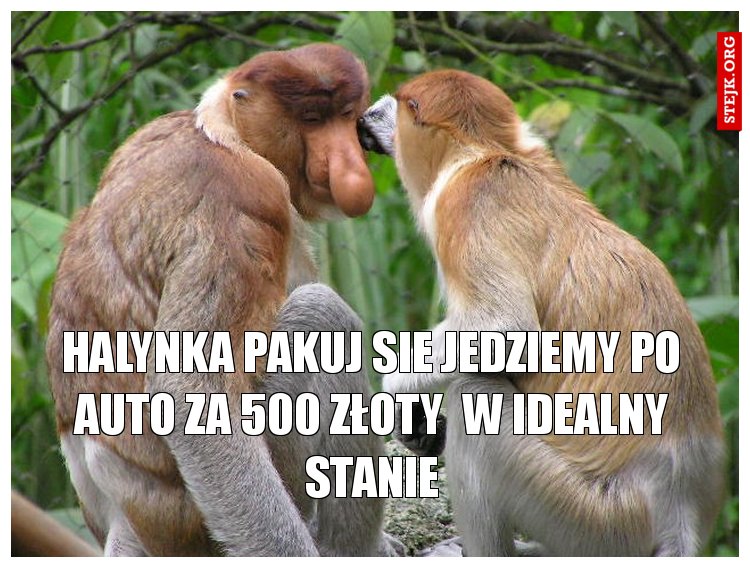 Halynka pakuj sie jedziemy po auto za 500 Złoty  w Idealny stanie