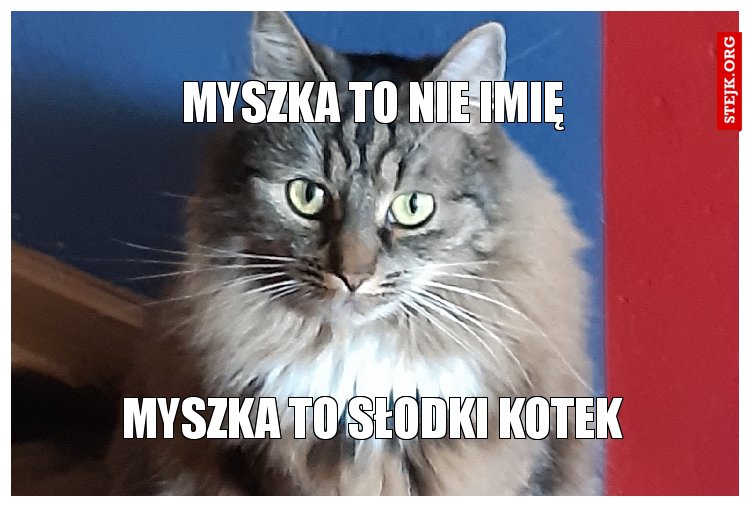 Myszka to nie imię