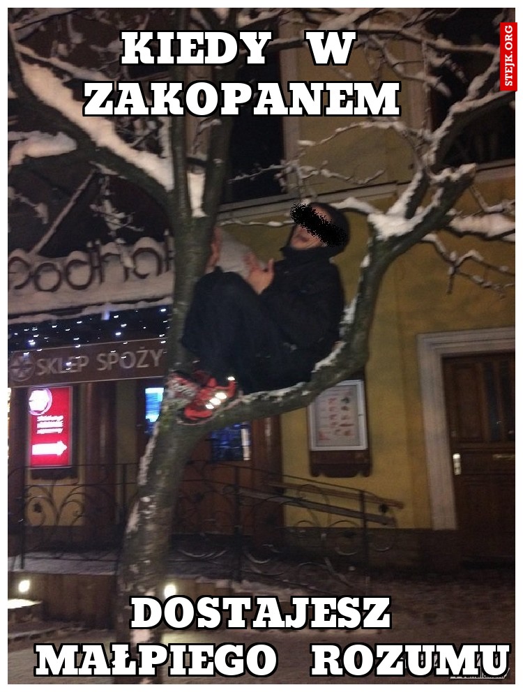 kiedy  w zakopanem