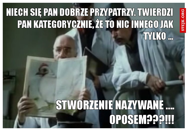 niech się pan dobrze przypatrzy. twierdzi pan kategorycznie, że to nic innego jak tylko ...
