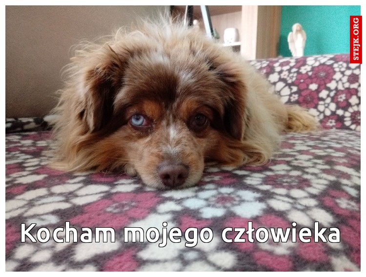 Kocham mojego człowieka