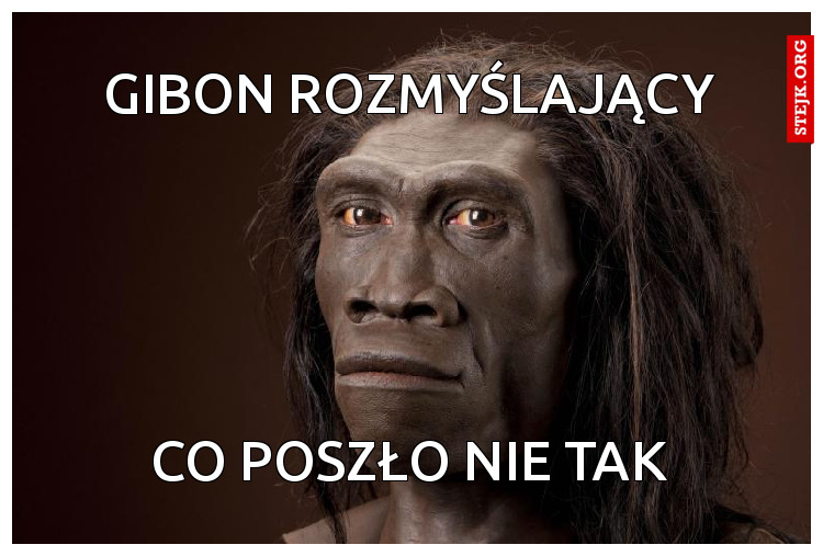 GIBON ROZMYŚLAJĄCY