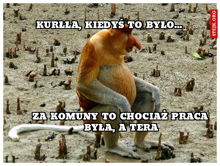 Kurłła, Kiedyś to było...