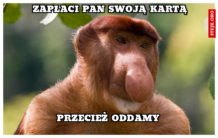 Zapłaci pan swoją kartą
