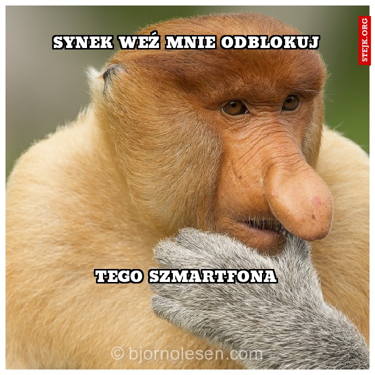 nosaczpolskości