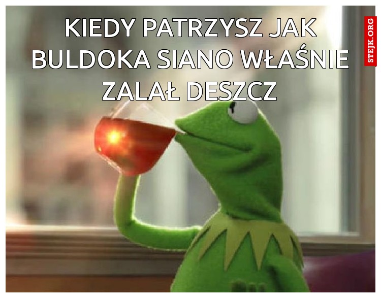 Kiedy patrzysz jak buldoka siano właśnie zalał deszcz