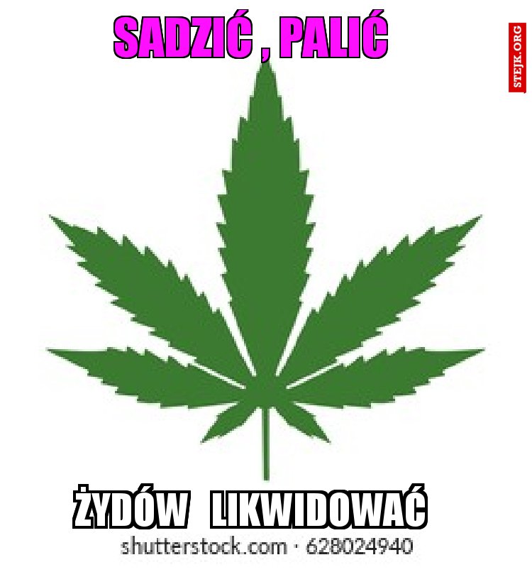 SADZIĆ , PALIĆ