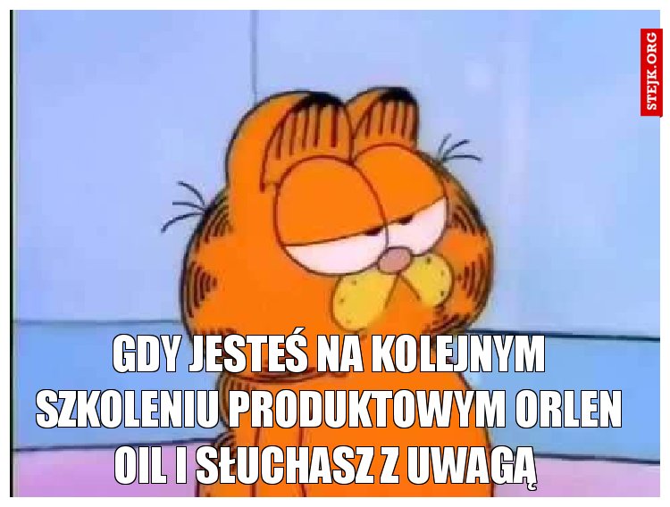 Gdy jesteś na kolejnym szkoleniu produktowym Orlen Oil i słuchasz z uwagą 