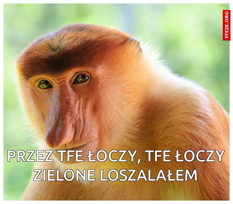 Przez tfe łoczy, tfe łoczy zielone loszalałem
