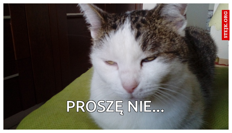 Proszę nie...