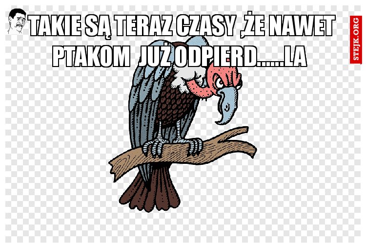 TAKIE SĄ TERAZ CZASY ,ŻE NAWET PTAKOM  JUŻ ODPIERD......LA 