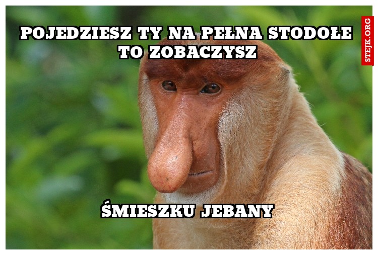 Pojedziesz Ty na pełna stodołe to zobaczysz