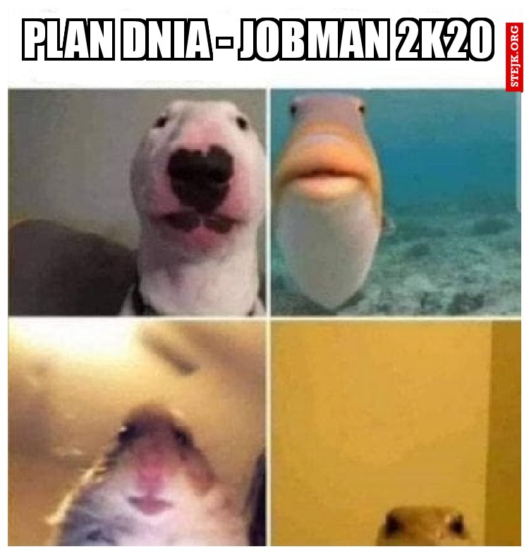 Plan dnia - jobman 2k20