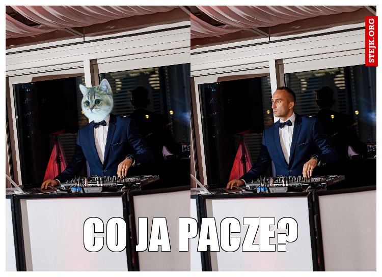 co ja pacze?