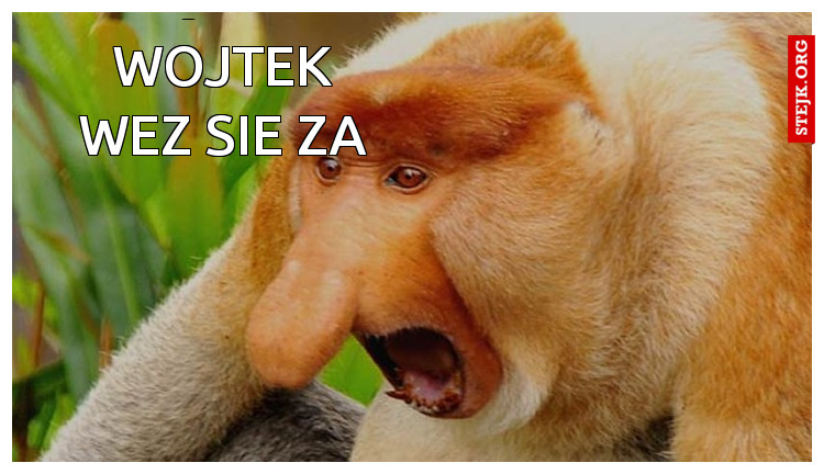 Kurla wojtek wez sie za robote