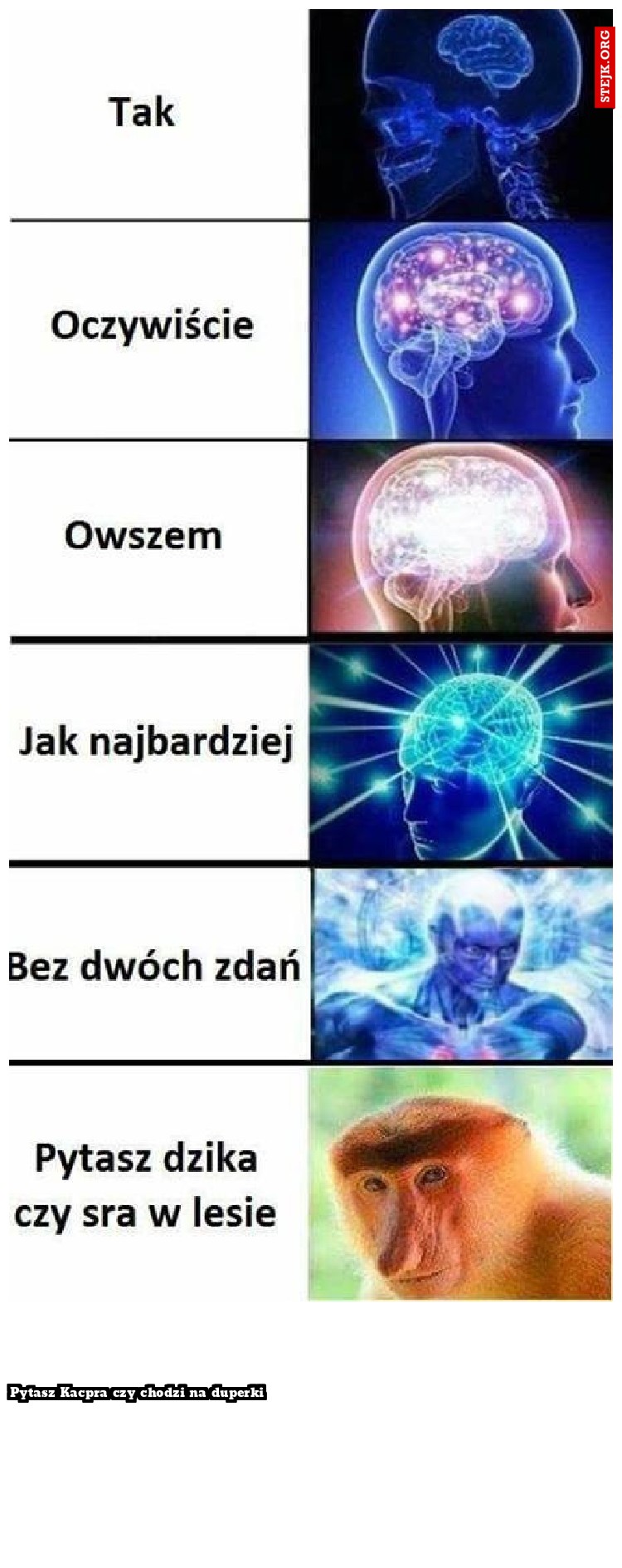Pytasz Kacpra czy chodzi na duperki