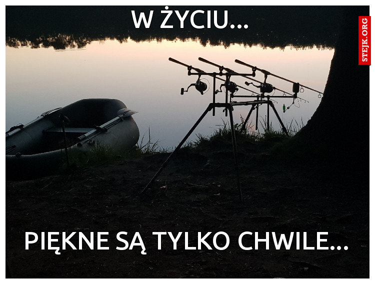 W życiu piękne są