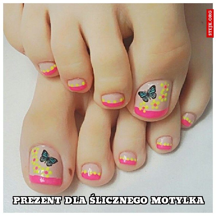 prezent dla ślicznego motylka