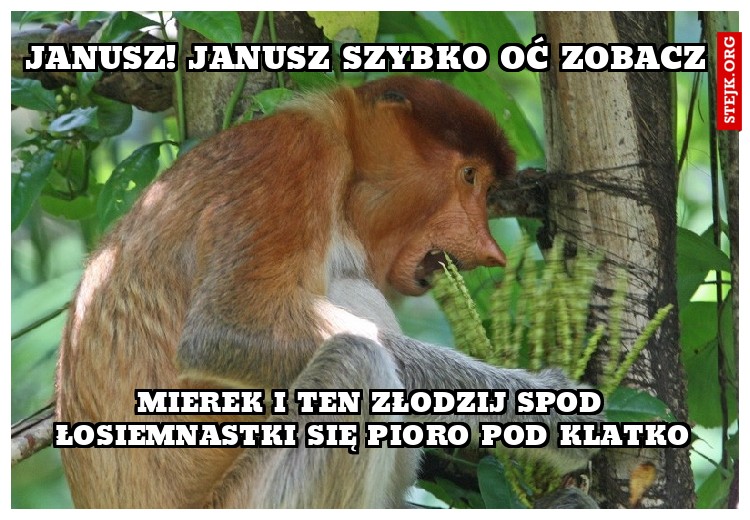 dfajjfaakaf