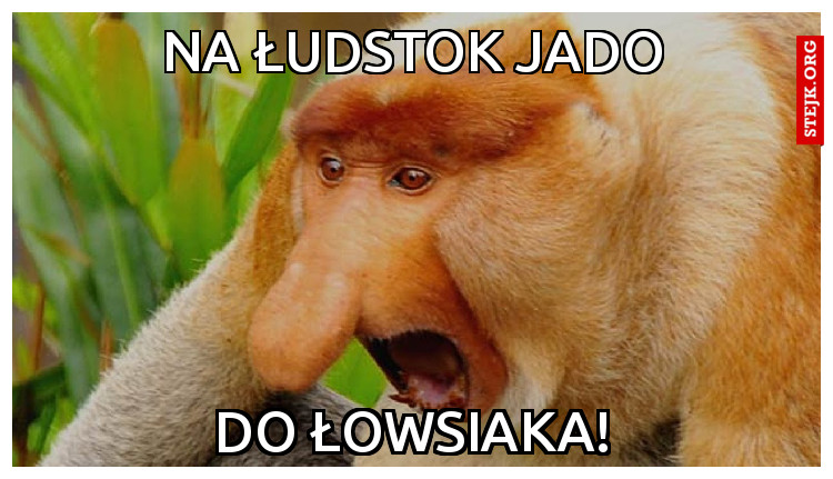 na łudstok jado