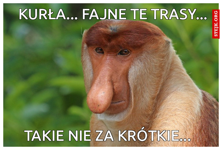 Kurła... fajne te trasy...