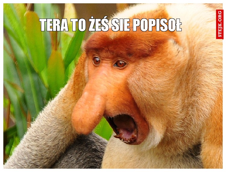 tera to żeś sie popisoł 
