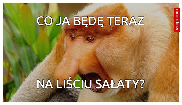 CO JA BĘDĘ TERAZ