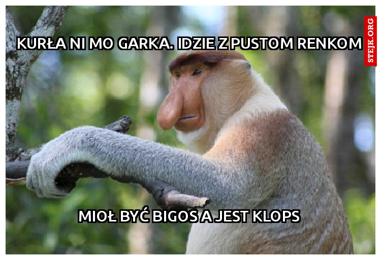 Kurła ni mo garka. idzie z pustom renkom