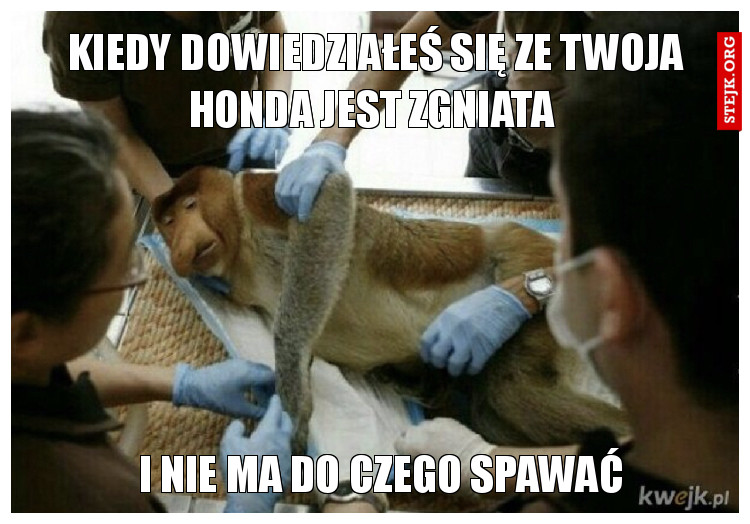 Kiedy dowiedziałeś się ze twoja Honda jest zgniata 