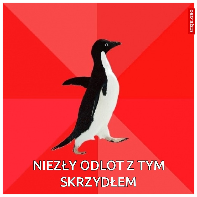 Niezły odlot z tym Skrzydłem