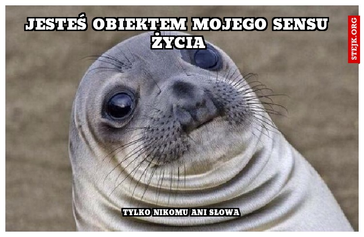 Jesteś obiektem mojego sensu życia