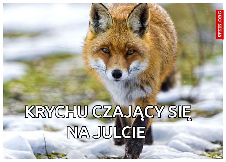 Krychu czający się na Julcie 